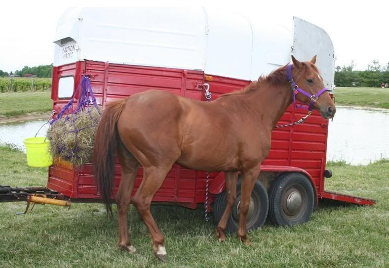 Repainting a horse trailer Around The Farm Chronicle Forums